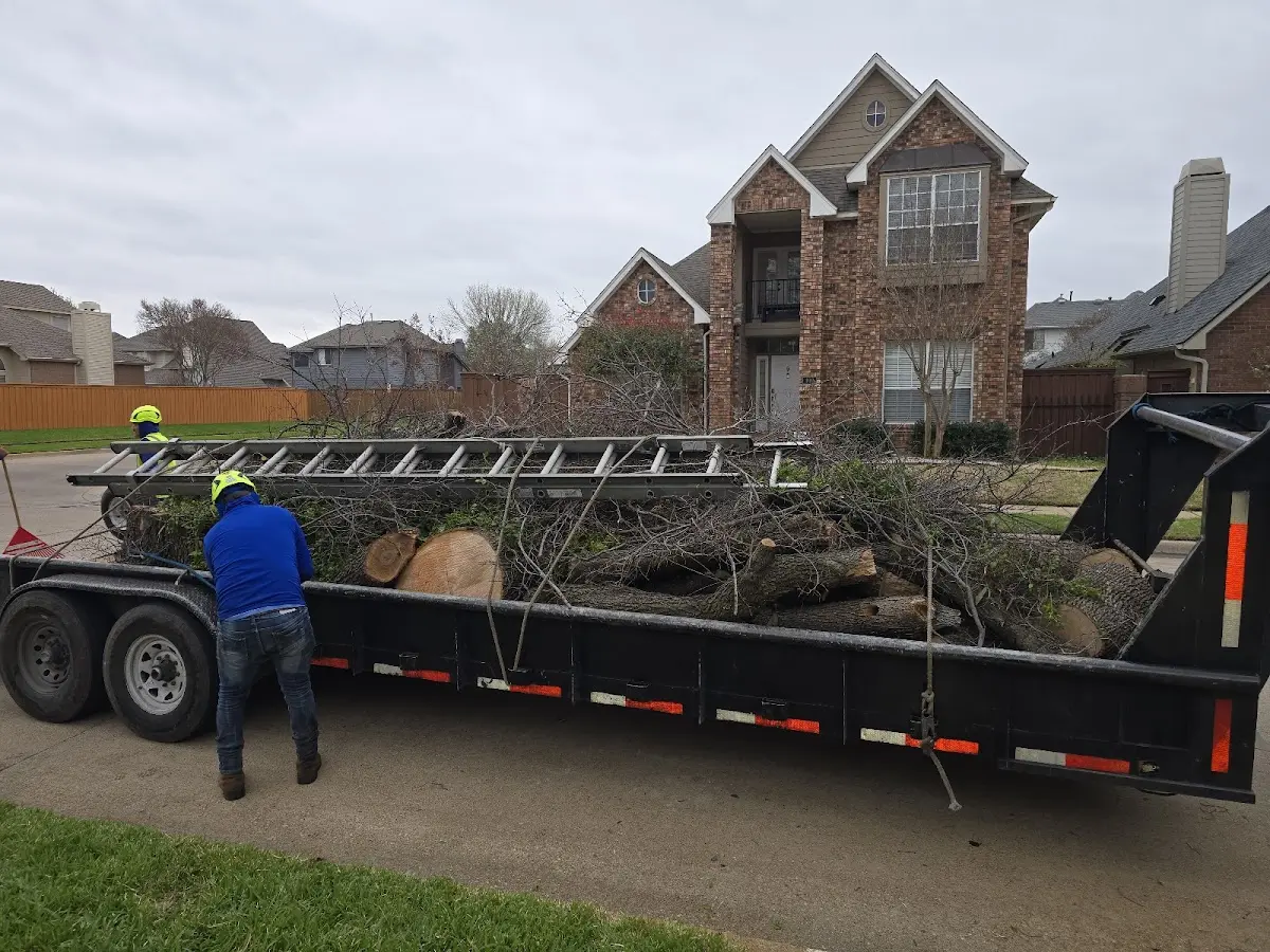 Expert Tree Removal with proper safety equipment in North Brunswick